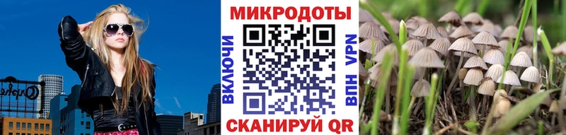 сколько стоит  ссылка на мегу зеркало  Псилоцибиновые грибы Magic Shrooms  Муравленко 